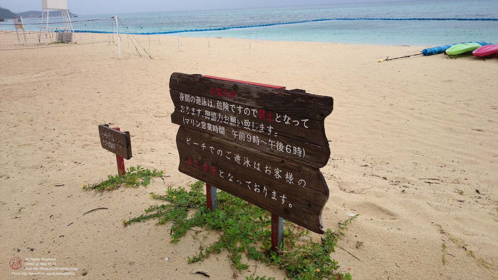 DSC_2931.jpg
